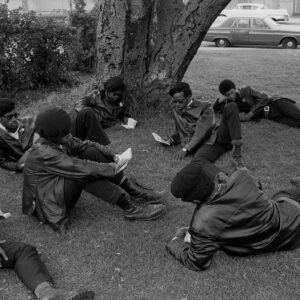 BP-143— Panthers reading on grass