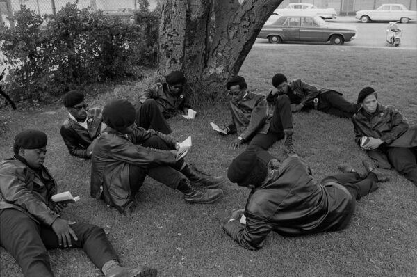BP-143— Panthers reading on grass